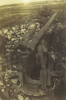 Image 2-6