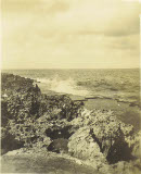 Image 2-4