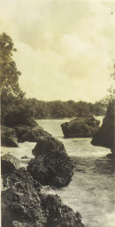 Image 2-4