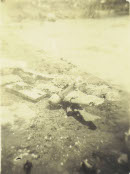 Image 2-4